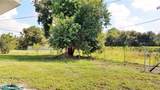 434 Buena Vista Boulevard - Photo 20