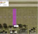2148 Diplomat Parkway - Photo 4