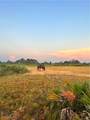 47798 Bermont Road - Photo 8