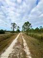 4501 Royal Palm Ranch Drive - Photo 44