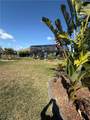 20404 Camino Torcido Loop - Photo 35