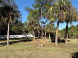 519 Hibiscus Avenue - Photo 8