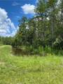 166 Ocean Park Drive - Photo 3