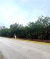 3321 Amanda Street - Photo 4