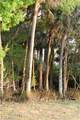 3790 Goggin Road - Photo 29