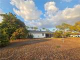 518 Jacaranda Parkway - Photo 11