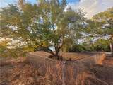 518 Jacaranda Parkway - Photo 12