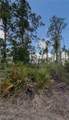 3703 7th Street - Photo 12