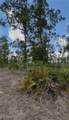 3703 7th Street - Photo 13