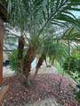10325 Fire Flag Trail - Photo 9