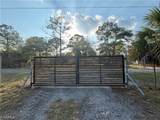 265 Jinete Street - Photo 7
