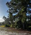 1013/1015 12th Street - Photo 3