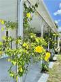 815 Holly Berry Court - Photo 4