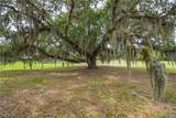 75 Ft Denaud Bridge Way - Photo 8