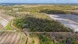  Se Hwy 31 - Photo 5