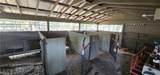 20101 Huffmaster Road - Photo 40