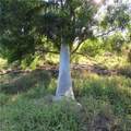 10011 Stringfellow Road - Photo 15