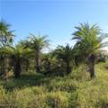 10011 Stringfellow Road - Photo 3