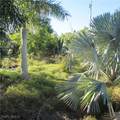 10011 Stringfellow Road - Photo 4