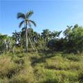10011 Stringfellow Road - Photo 5