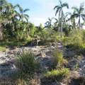 10011 Stringfellow Road - Photo 8