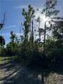 7001 Guava Avenue - Photo 10