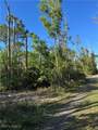 7001 Guava Avenue - Photo 11