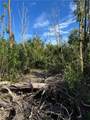 7001 Guava Avenue - Photo 8