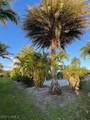 5222 Marsh Mallow Trail - Photo 12