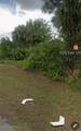 3302 12th Street - Photo 3
