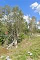 1143 Hatton Avenue - Photo 5