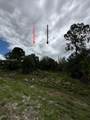 685 Cabbage Palm Street - Photo 4