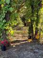 1345 Barrett Road - Photo 43