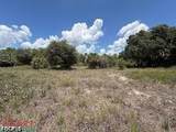 1201 Homestead Avenue - Photo 12