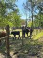 15841 Rasmussen Road - Photo 11