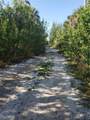 TBD Pirate Landing Lane - Photo 1