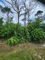 3853 Citrus Street - Photo 1