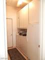 13011 Silver Sands Drive - Photo 8