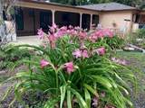 1011 El Mar Avenue - Photo 31