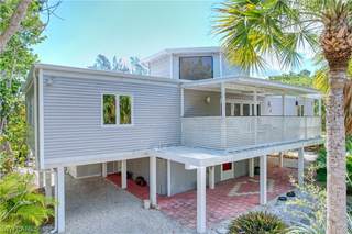 2010 Wild Lime DR