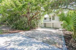 1986 Wild Lime DR