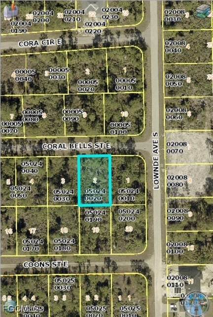 1130 Coral Bells Street - Photo 1