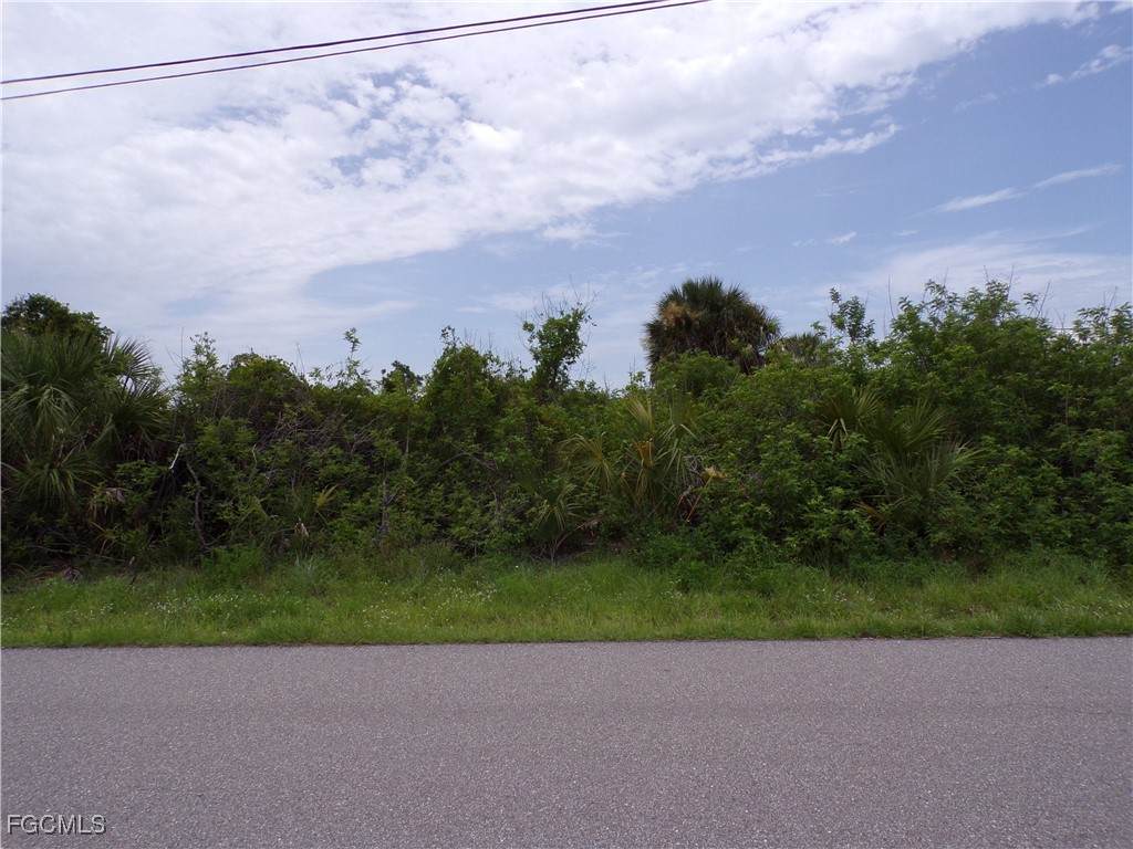 10266 Lobelia Place - Photo 1