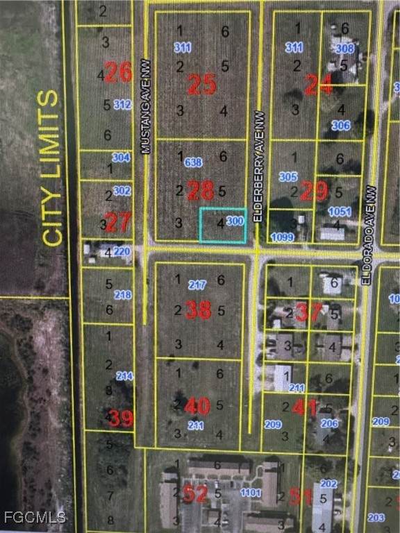 300 Elderberry Avenue - Photo 1