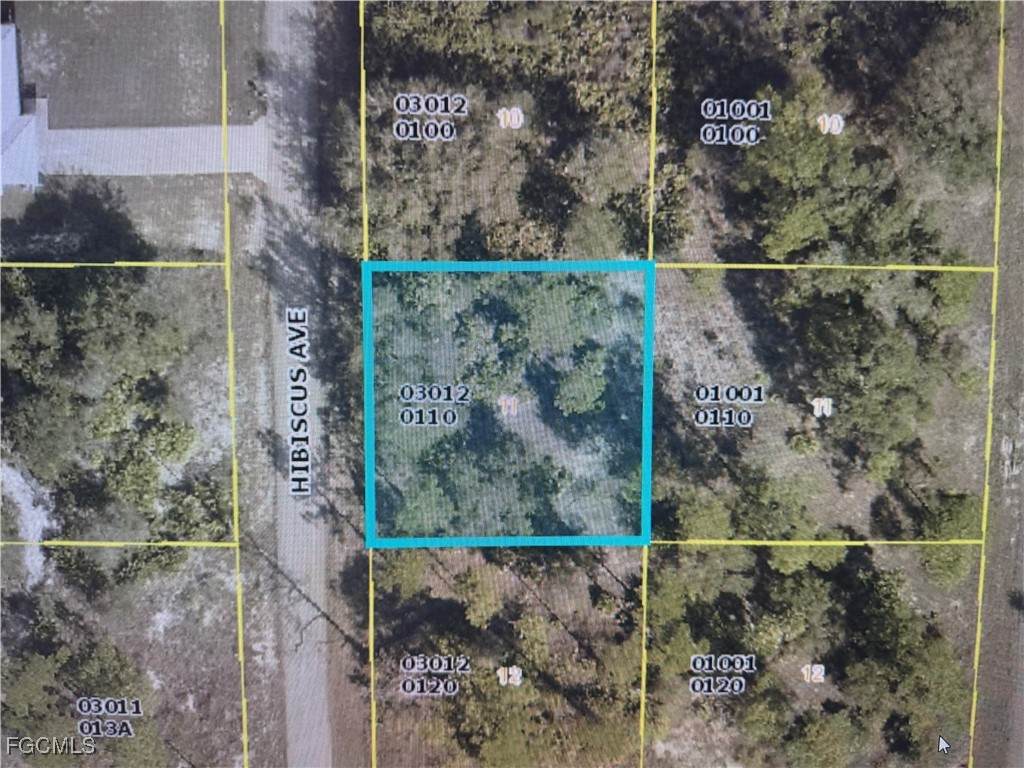 1602 Hibiscus Avenue - Photo 1