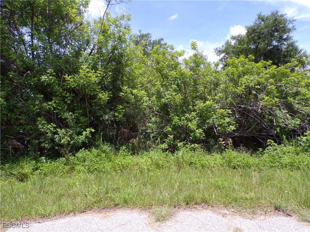 7248 Cassidy Court - Photo 1