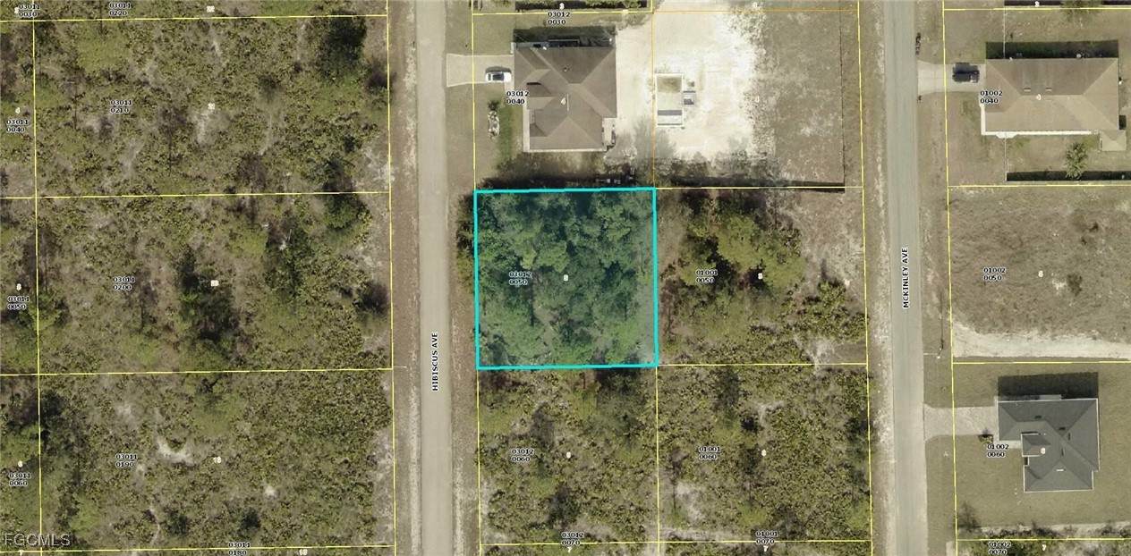 1614 Hibiscus Avenue - Photo 1