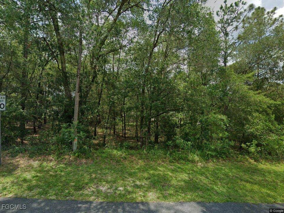 5210 Backner Lane - Photo 1