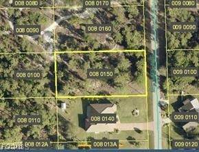 805 Michael Avenue - Photo 1