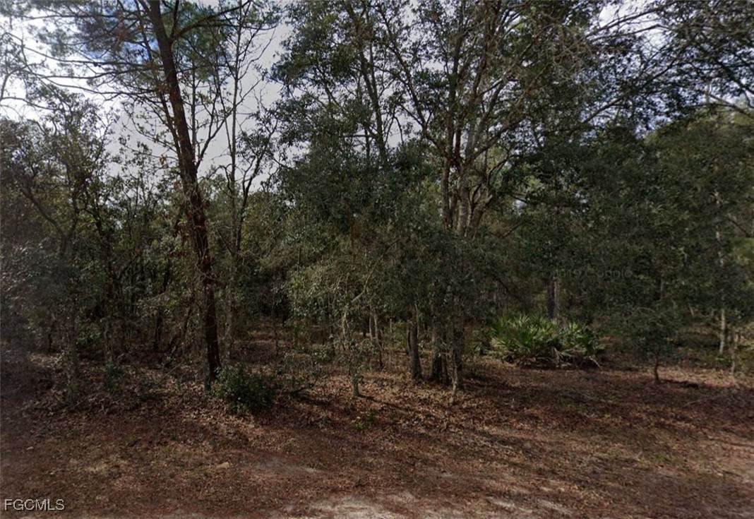 917 David Avenue - Photo 1